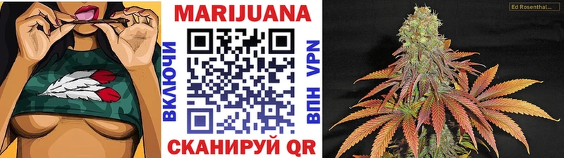 Виды наркотиков купить Петухово Галлюциногенные грибы  НБОМе  COCAIN  Меф мяу мяу  ГАШИШ  МАРИХУАНА 
