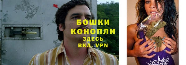 твердый Ельня