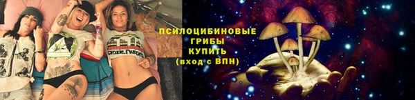 скорость mdpv Елизово