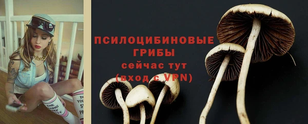 твердый Ельня