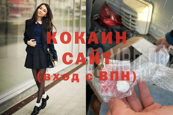 твердый Ельня