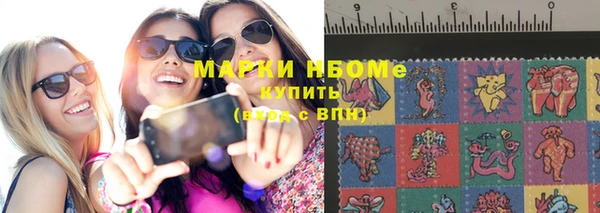 твердый Ельня